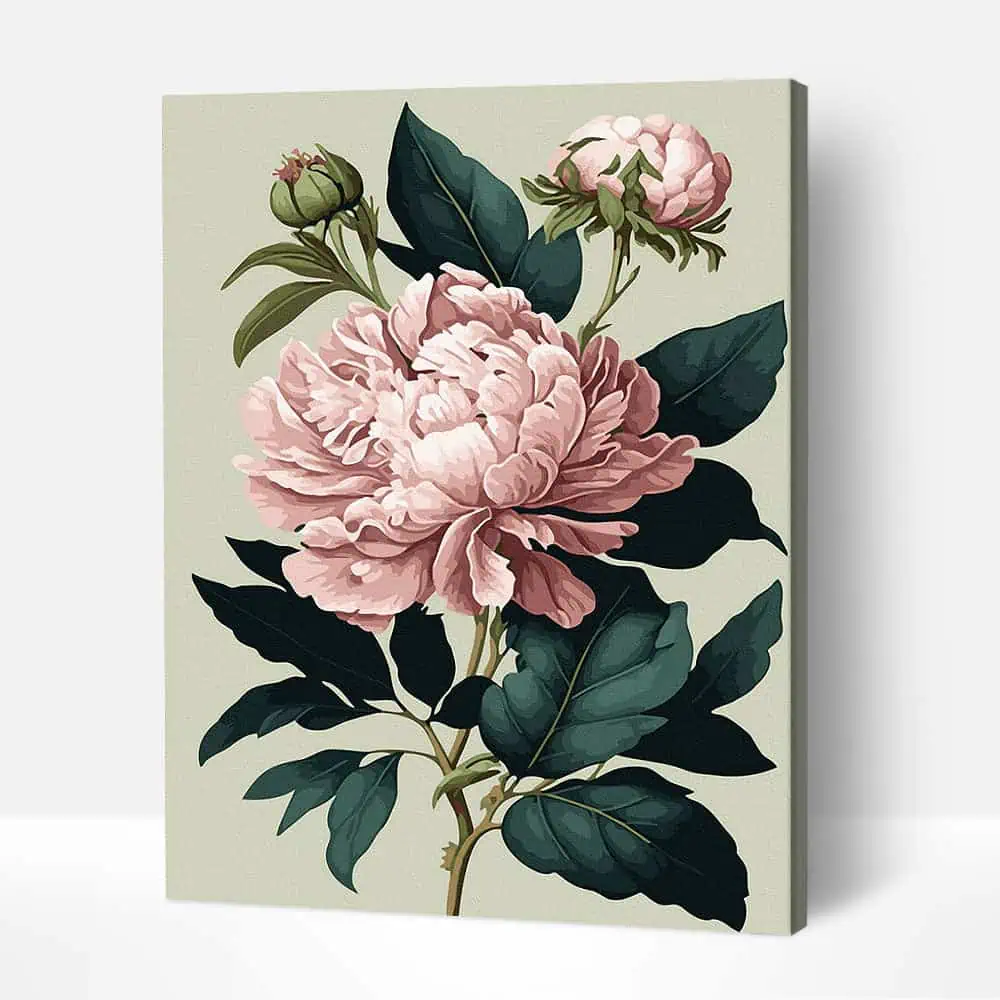 peony❤︎ Romantic Peonies - Paint Vibe